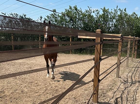 Complete afrastering voor acht paddocks