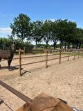 Complete afrastering voor 8 paddocks