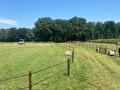 Vier mobiele schuilstallen en een roundpen